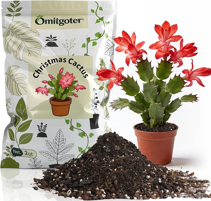 All-Natural Christmas Cactus Potting Soil Mix 10qt- Premium Well-Draining & Aerated ，Designed Specifically for Succulents and Cacti