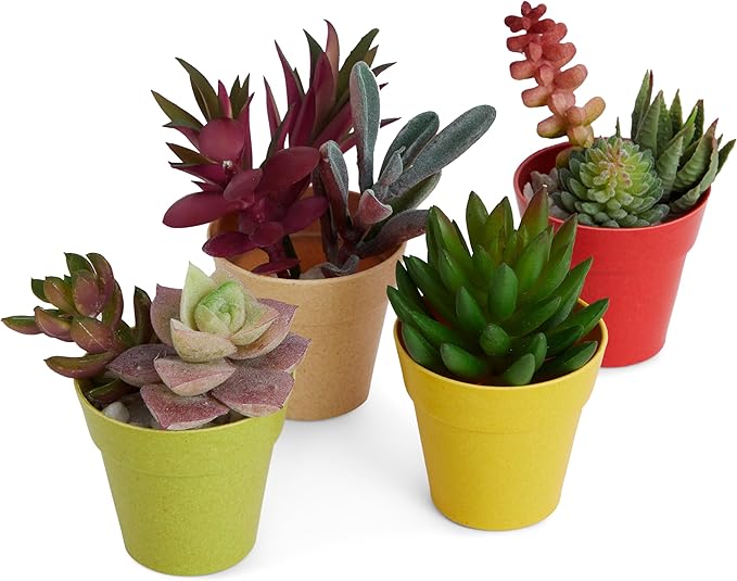 Juvale Mini Plastic Plant Pots - Drainage Hole for Flower Pots - Sturdy Planter for Indoor Plants - Pack of 24, 2.5 x 2.3 in, Multicolor