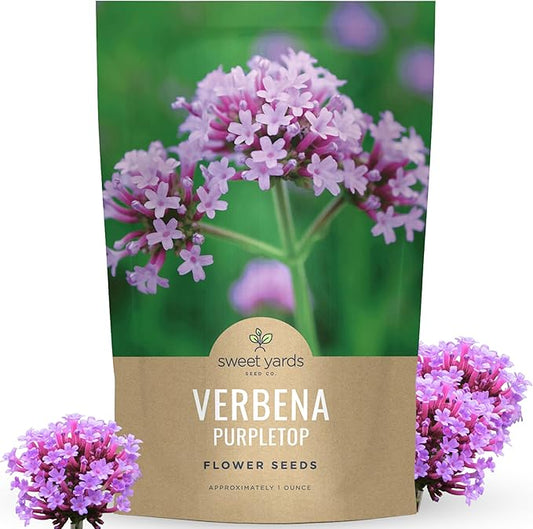Purpletop Verbena – Large 1 Ounce Seed Packet – 100,000 Flower Seeds for Planting – Verbena bonariensis