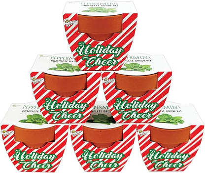 BUZZY Seeds Holiday Candy Cane Mini Terracotta Grow Pots, 6-Pack Peppermint Seeds, Indoor Plant Starter Kit, Stocking Stuffers, Party Favors