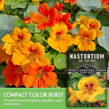 Nasturtium Seeds for Planting Outdoors – Tip Top Mix Heirloom Variety of Edible Flowers & Companion Plants, Non-GMO Seeds for Home Gardens - Survival Garden Seeds (1 Pack)