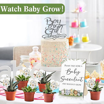 Newcotte Baby Shower Party Favors Succulent Tags Include 1 Piece Wooden Table Sign 50 Sets Succulent Plant Marker Succulent Favors Baby Shower Decoration(Animal)