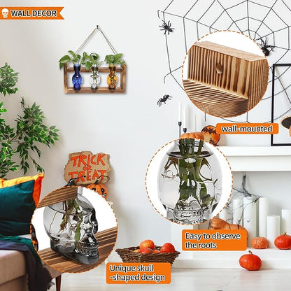 Plant Terrarium Propagation Stations Hydroponics Halloween Skull Planter Vase Skulls Decor with Wooden Stand Gift for Father