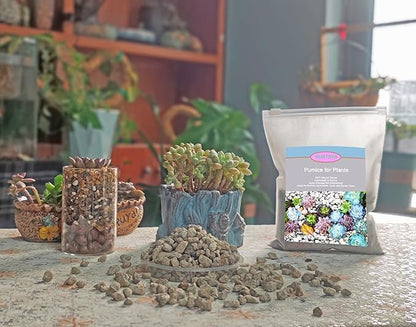 Horticultural Pumice for Plants 10QT, Natural Organic Pumice Stones for Succulent Cactus Bonsai Tree Orchid Potting Mixed, Improves Soil Aeration and Drainage, Promotes Root