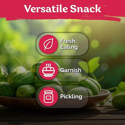 KVITER 150 Cucamelon Seeds for Planting (Melothria Scabra), 2 Pack – Mexican Sour Gherkin Seeds, Gherkin Cucumber, Mexican Mini Watermelon – Heirloom Vegetable Seed for Outdoor & Indoor Garden