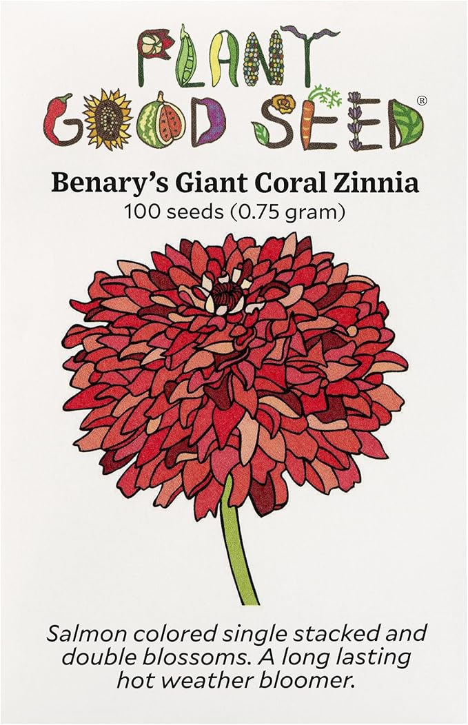 Plant Good Seed Organic Benary's Giant Coral Zinnia Seeds for Planting: Hot Weather Cut Flower, Double Stacked Blossoms - 100 Seed Packet