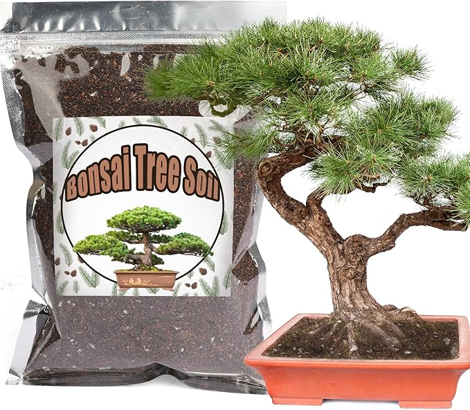 Bonsai Soil Mix 2qt Ready to Use, Organic Bonsai Tree Soil Fits for Small Bonsai Pot, Suitable for Bonsai Seedling, Repotting, or Bonsai Starter Kit, black