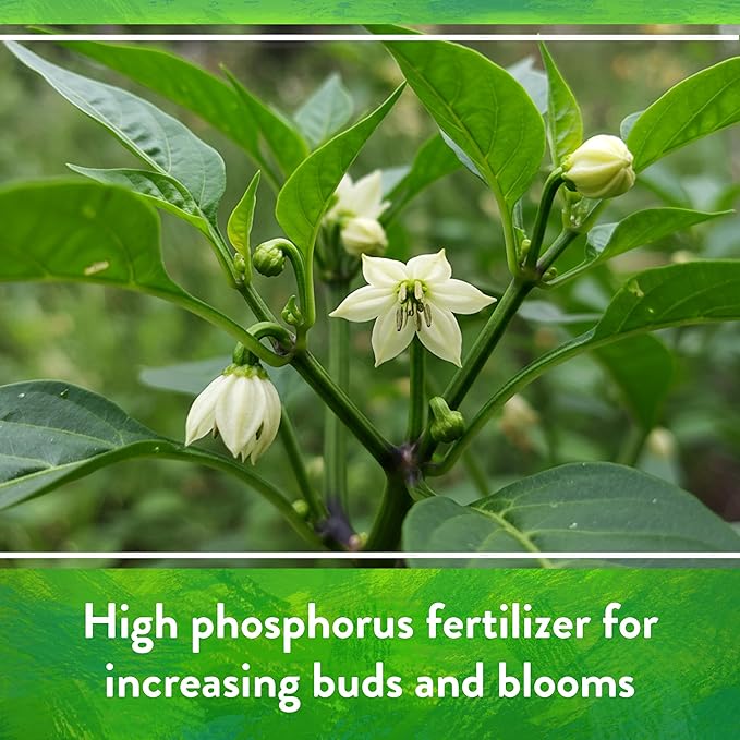 Down To Earth All Natural Fertilizers Organic Seabird Guano - High Phosphorus Plant Food for Buds, Blooms, Flowers 0-11-0, 20 lb