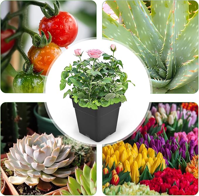 HOSTIC 1.4 Gallon Square Nursery Pots Flexible Plastic Pots for Plants Gallon Pot with Drainage Holes 10 Pcs