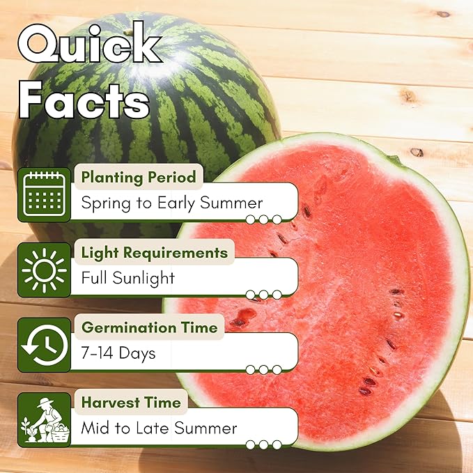 Sugar Baby Watermelon Seeds for Planting - Heirloom, Non-GMO Mini Watermelon Seed Pack, Small Bush Melon Seeds Variety for Home Gardens & Outdoors | Woods Creek Seeds