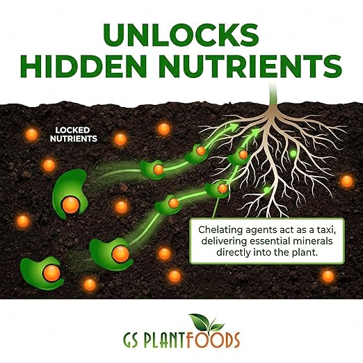 GS Plant Foods Root Ruckus Compost Fertilizer Organic Plant Food - Turbo Charged Compost for Plants - Humic Acid & Sea Kelp Nutritional Root Supplement for Lawns, Soil, Shrubs & Vegetables - 1 Gallon