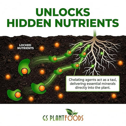 GS Plant Foods Root Ruckus Compost Fertilizer Organic Plant Food - Turbo Charged Compost for Plants - Humic Acid & Sea Kelp Nutritional Root Supplement for Lawns, Soil, Shrubs & Vegetables - 1 Gallon