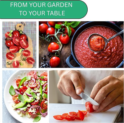 Roma VF Determinate Tomato Seeds for Planting – Heirloom Non-GMO Paste Tomatoes for Sauce & Canning | Woods Creek Seeds
