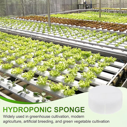 50-Pack Hydroponics Sponges, 2.76 Inch Growing Media Cylindrical Sponges for Planting Gardening Tool/Grow Seedlings/Home Vegetable Flower, Soilless Cultivation Seedling [White]