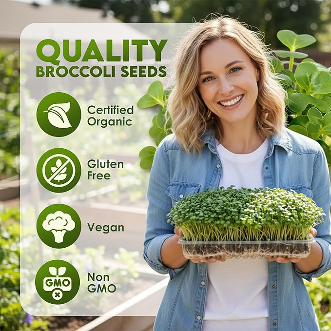 Nature Jims Sprouts Organic Broccoli Seeds for Sprouting – Certified Non-GMO, Rich in Sulforaphane, Swift-Growing Microgreen Seeds for Nutritious Broccoli Sprouts – Ideal for Indoor/Outdoor Use – 8oz