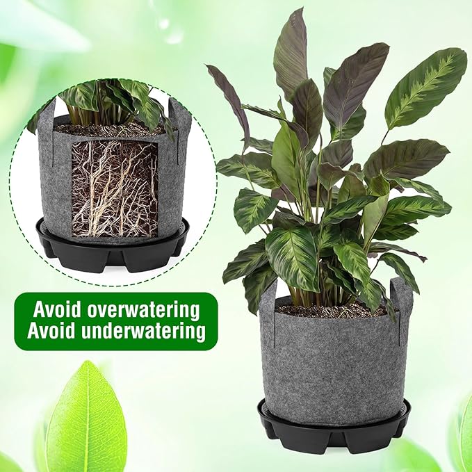 6 Set Self Watering Fabric Pot Base Plant Nonwoven Grow Bags Automatic Watering Plant Saucers Elevated Flower Trays for Fruits Vegetables Flowers(3 Gallon,Grey)