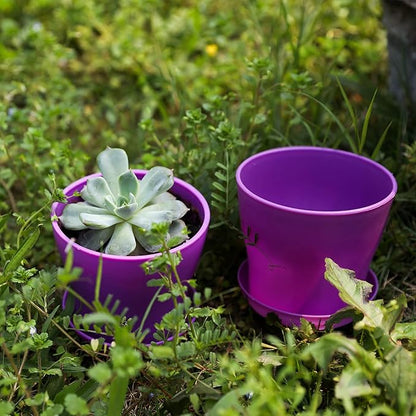 TDHDIKE 25 Pcs Plastic Planters Indoor Flower Plant Pots, Mini Flower Seedlings Nursery Pot/Planter/Flower Pot with Pallet, Modern Decorative Gardening Containers (Pink/White/Purple/Blue/Green)