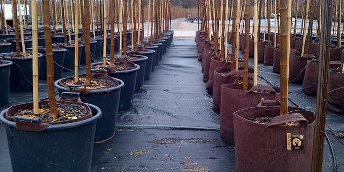 MAUI MIKE'S Soft POTS (3 Gallon) (5 Pack) Best Grow Bag Fabric Garden Pots from Thicker Material. Made from Recycled from Plastic Water Bottles.Lasts for Years.