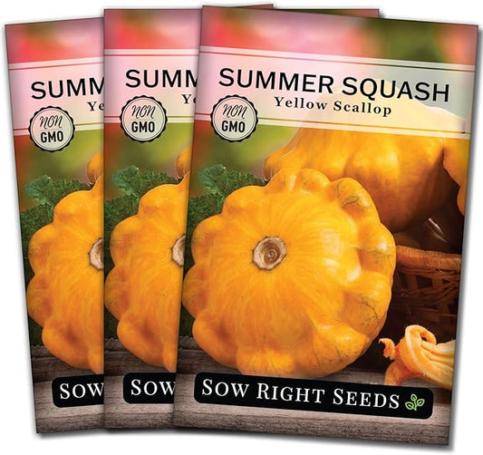 Sow Right Seeds - Yellow Scallop Squash Seed for Planting - Non-GMO Heirloom Packet with Instructions to Plant a Home Vegetable Garden, Traditional Summer Variety - Tasty Mini Squash (3)