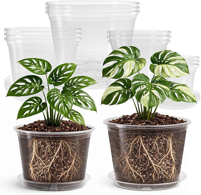 12 Pack 10/8/6/5 Inch Reinforced Large Clear Nursery Pots with Sacuers, Transparent Variety Pack Plastic Plant Pot with Drainage Holes for Vegetable Propagation, Root Cutting, Seed Starting