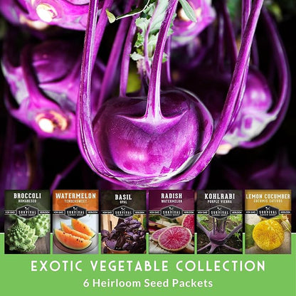 Rare Exotic Vegetable & Fruit Seeds for Planting – 6 Variety Heirloom Pack with Romanesco, Lemon Cucumber, Watermelon Radish & More by Survival Garden Seeds