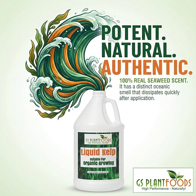 GS Plant Foods Liquid Kelp Fertilizer – Suitable for Organic Growing, OMRI Listed Seaweed Concentrate for Lawns, Gardens & Soil - 55 Gallons