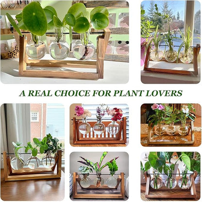 Plant Propagation Stations with Wooden Stand & 3 Glass Bulb Vases - Plant Terrarium for Indoor Plants, Home Office Desk Decor, Gardening Gifts for Women Mom, Birthday Gifts for Plants Lovers