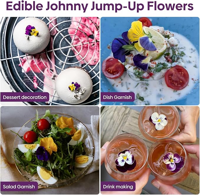 Johnny Jump Up Seeds, 10000+ Perennial Wild Violet Seeds for Planting, Edible Flowers, Non-GMO | Heirloom | Attracts pollinators, Grown in The USA
