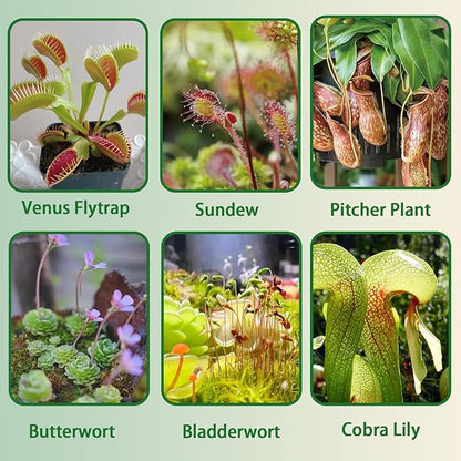 Carnivorous Plant Soil Mix 4qt, Pure Peat Moss and Perlite Mixture for Venus, Pitcher, Butterwort, Nepenthes, Sundew