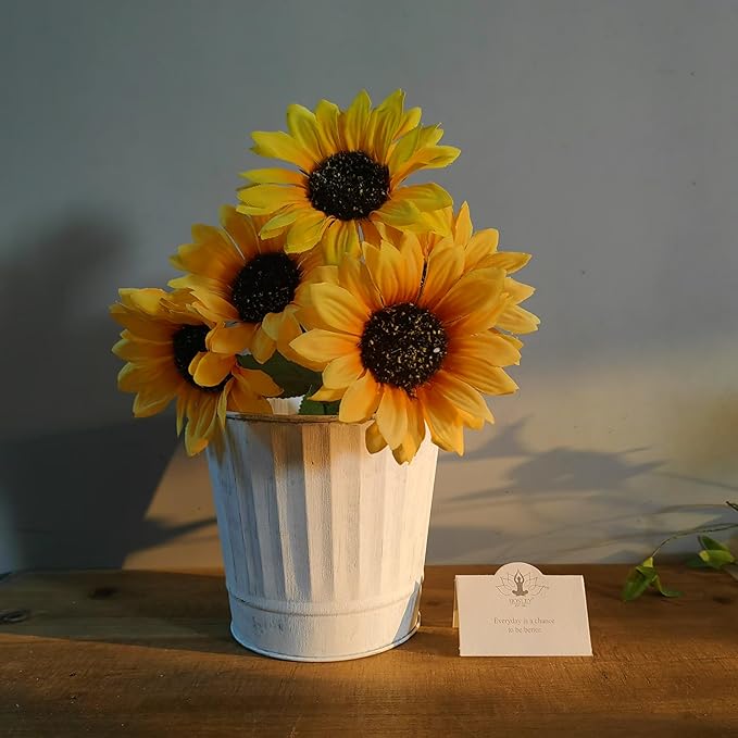 Hosley Metal Plant Pot White Wash Finish - 5" Dia x 4.8" H Flower Pots, Ideal for Farmhouse Décor, Planters for Outdoor Plants, Weddings, Gifts, Special Events Parties
