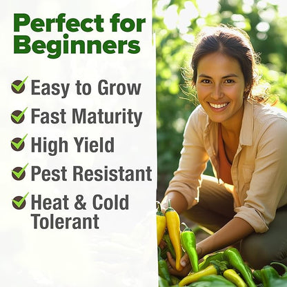 HOME GROWN Non GMO Banana Pepper Seeds Pack 94 Heirloom Vegetable Seeds High Germination Sweet Peppers for Planting Indoors or Outdoor Garden (Capsicum annuum) (1pack)