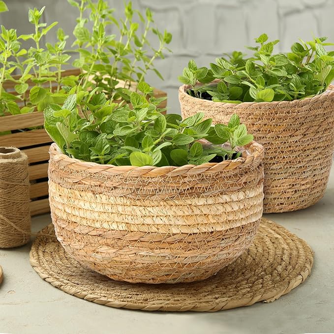 Sieral 5 Pcs Seagrass Hand Woven Planter Basket Large Plant Pots Indoor Flower Pots Cover, 12+10+8+7+6 Inch Storage Planter Containers with Plastic Liners
