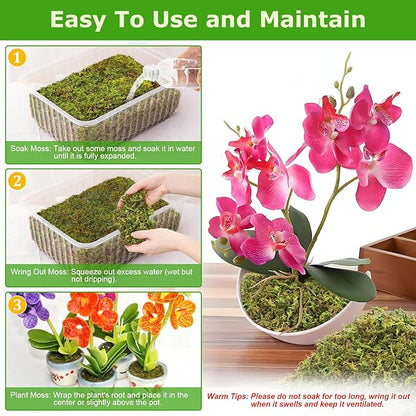 Legigo 3.7OZ Sphagnum Moss for Plants, 4QT Natural Orchid Moss Potting Mix Dired, Green Forest Plant Moss for Orchid Repotting Carnivorous Succulents Indoor Potted Plants Gardening and Reptiles