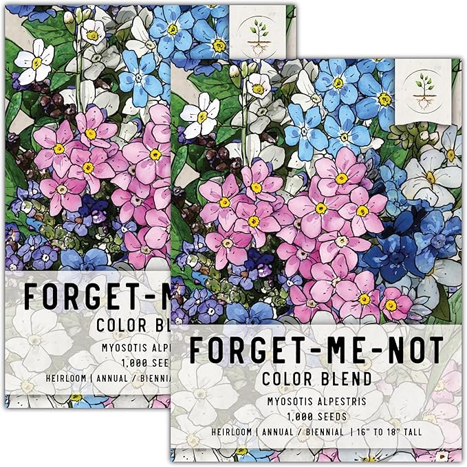 Seed Needs, Mixed Forget Me Not Seeds - 1,000 Heirloom Seeds for Planting Myosotis alpestris - Pink Blue & White Blooms, Open Pollinated & Pollinator Friendly (2 Packs)