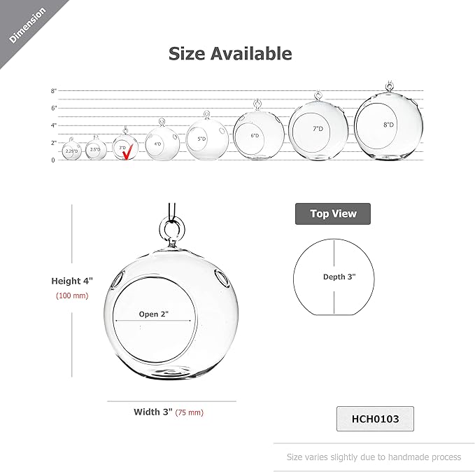 WGV Hanging Terrarium Globe, Width 3", Height 4", DIY Air Succulent Planter, Clear Glass Vase Orb with Flat Bottom, Candle Holder for Windowsill Outdoor Garden Decor, 6 Pieces Bulk