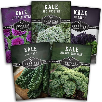 Kale Seeds 5 Variety Pack for Planting | Red Russian, Scarlet, Lacinato, Siberian & Ornamental Kale Seeds – Heirloom Non-GMO Cool Weather & Winter Greens – Survival Garden Seeds