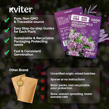 KVITER 1,000 Wild Bergamot Seeds for Planting (Monarda fistulosa) – Bee Balm Native Wildflower, Pollinator Magnet, Organic & Non GMO – Perennial Flower Seeds to Plant Outside in Flower/Herb Garden