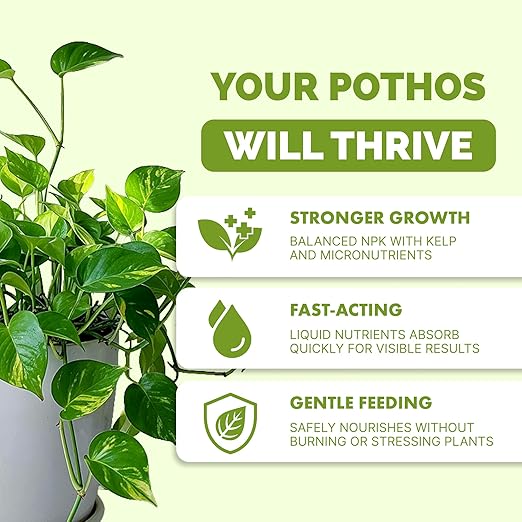 TPS NUTRIENTS Pothos Fertilizer for All Pothos Plants and Vines, Liquid Plant Food, 32 oz (1 Quart)