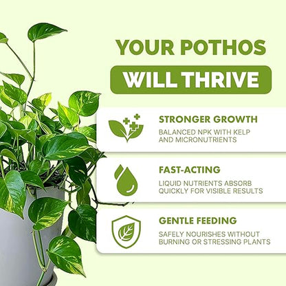 TPS NUTRIENTS Pothos Fertilizer for All Pothos Plants and Vines, Liquid Plant Food, 32 oz (1 Quart)