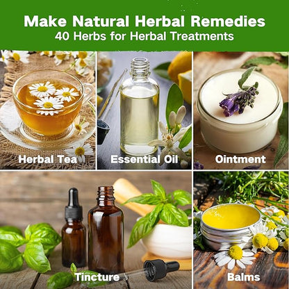 Lush&Dew Ancestral Apothecary Medicinal Tea Herb Seed Chest, 36,000+ Non-GMO Survival Seed Kit, Gardening Gifts for Women Men, 40 Types Heirloom Garden Seeds for Planting Herbs, Raised Bed Windowsill