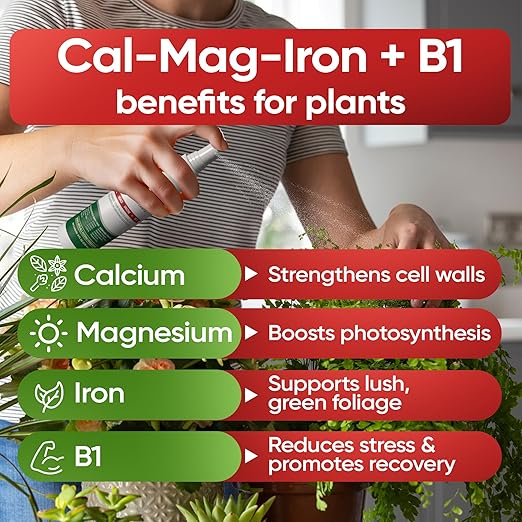 Hormex Mother Mist Cal-Mag-Iron + B1 Plant Nutrient Deficiency Spray - Boost Growth, Strength & Cloning Success - All Purpose Foliar Spray for Houseplants, Flowers & Vegetables, 8oz