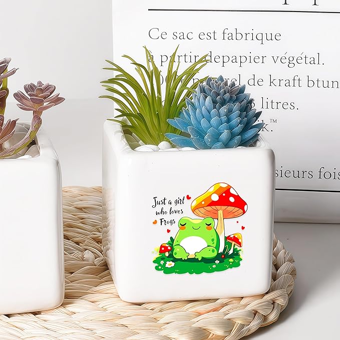Frog Succulent Planter Flower Plant Pot Small, Gifts for Women Teens Girls Kids, Frog Lovers Themed Stuff Accessories Things Decor Merch, Home Office Table Desk Decoration!