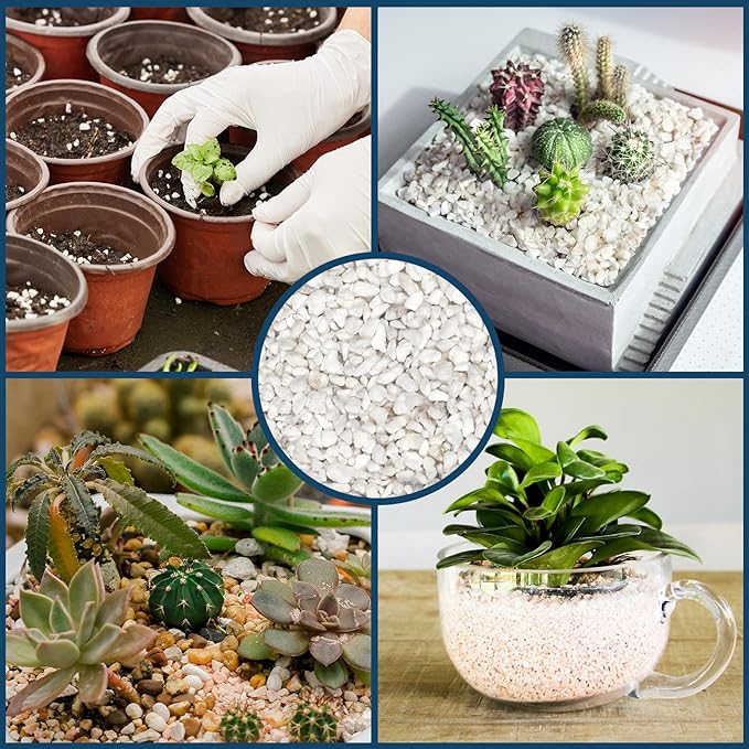Horticultural Perlite Plants 1qt, Chunky Perlite Bulk for Gardening, Soil Amendments to Improve Soil Aeration & Dranage for Houseplant