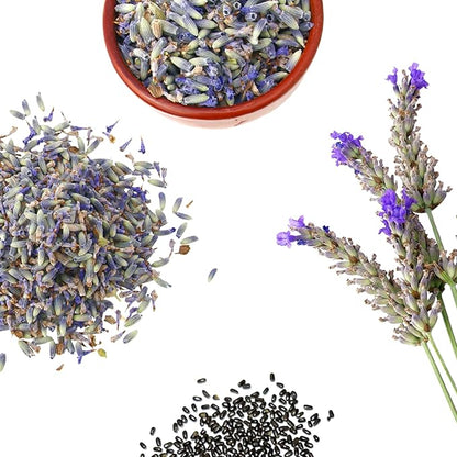 Seed Needs Lavender Seed Packet Favors - Thoughtful Gifts/Handouts for a Memorial or Funeral Service to Remember Loved Ones - Sowing Seeds in Remembrance (30 Packets)