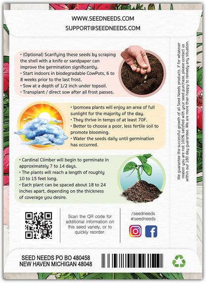 Seed Needs, Cardinal Climber Seeds - 100 Heirloom Seeds for Planting Ipomea Quamoclit - Open Pollinated & Untreated, Attracts Pollinators (5 Packs)