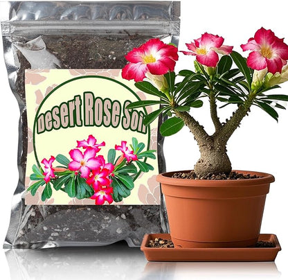 Organic Desert Rose Potting Soil Mix for Healthy Growth 10qt- 100% Natural Potting Mix - Specially Formulated Nutrient-Rich Plant Soil for Desert Rose Plant