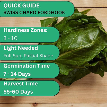 Fordhook Giant Swiss Chard Seeds – Heirloom Non-GMO Swiss Chard Seeds for Planting Outdoors & Containers, Large Green Leaf Chard | Woods Creek Seeds