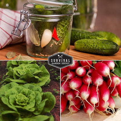 Survival Garden Seeds Kids' Easy Garden Collection - Cucumber, Radish, Beans, Peas, Lettuce, Basil Non-GMO Open Pollinated Seeds for Growing on The Homestead or in The Vegetable Garden