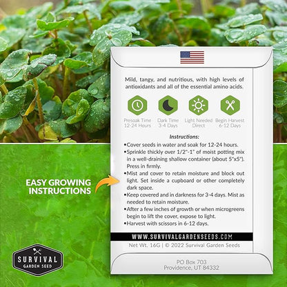 Buckwheat Microgreen Seeds for Sprouting - Non-GMO Heirloom Buckwheat Seeds to Grow Mild, Nutty Microgreens - Indoors or Hydroponic - Fast Growing - Survival Garden Seeds (5 Packs)