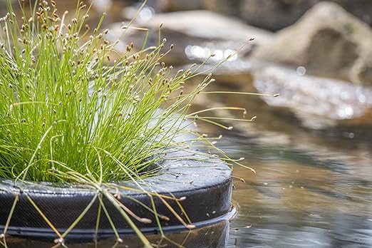 PondH2o Floating Aquatic Water Garden Pond Plant or Flower Fabric Planter Baskets, 10" Square & 14" Round, Aquaponics, Hydroponics | Value 2 Pack